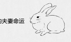 男兔女蛇的夫妻命运