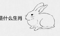 兔的死对头是什么生肖 小人克星属相