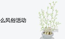 春分有什么风俗活动及特点