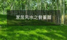 家居风水之骨董篇