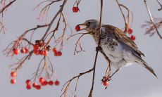主卧室带阳台有什么不好的风水影响吗 该如何化解