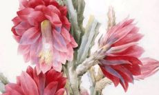 2022年3月24日穿什么颜色衣服好 五行穿衣最佳色