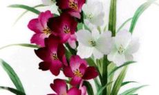 2022年3月23日五行穿衣一览表 今日最旺颜色查询