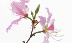 穿衣色彩攻略:2022年3月19日五行穿衣属性查询