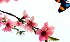 2022年3月18日五行穿衣指南 今日穿衣早知道