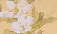 2022年4月3日穿什么颜色衣服好 五行穿衣最佳色