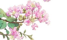 每日五行穿衣分享:2022年4月4日穿衣最佳幸运色