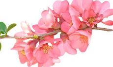 2022年3月28日五行穿衣指南 今日穿衣早知道