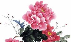 2022年3月20日春分五行属性查询 每日五行穿衣搭配