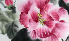 每日五行穿衣分享:2022年3月25日穿衣最佳幸运色