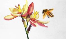 今日五行穿衣:2022年4月1日愚人节穿什么颜色旺运势