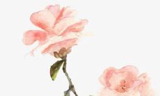 穿衣色彩攻略:2022年3月29日五行穿衣属性查询