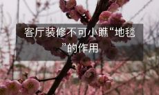 客厅装修不可小瞧“地毯”的作用