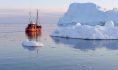 大门口栽些什么类型的树寓意比较好