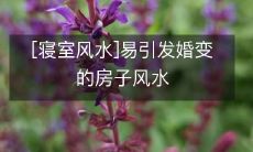 [寝室风水]易引发婚变的房子风水