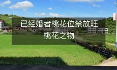 已经婚者桃花位禁放旺桃花之物