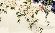 今年大年初七下雨不好嘛 正月初七风俗文化