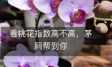 看桃花指数高不高,茅厕帮到你