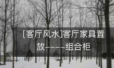 [客厅风水]客厅家具置放----组合柜