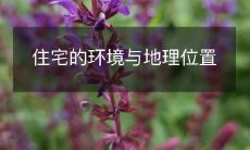 住宅的环境与地理位置