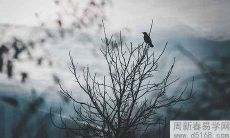 如何看家里风水方位 什么方法可以确定风水位