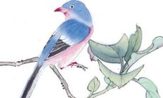 结婚铺床的吉利话 各式铺婚床顺口溜