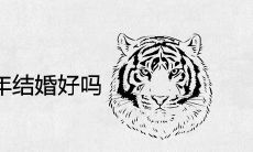 1986属虎2022年结婚好吗