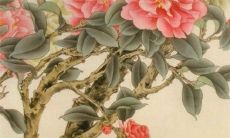 2022年农历十月结婚吉日一览表 宜办喜事良机