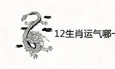 12生肖运气哪一个运气最好