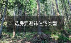 选房要避讳住宅类型
