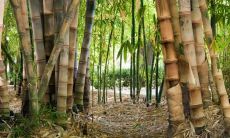 裘龙定姓名评分89分