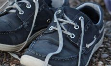 属狗在什么年容易添丁 2022年可以生虎宝宝吗