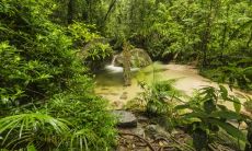 苏巧勤姓名评分79分