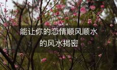 能让你的恋情顺风顺水的风水揭密