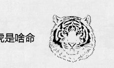 1974年属虎是啥命