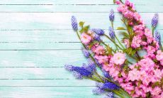 房子面向东北好不好 朝向什么方向聚财