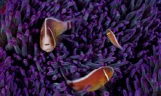 崔宇桢姓名评分71分