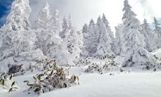 孙振炜姓名评分90分