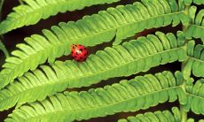 强天武姓名评分89分