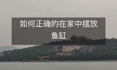 如何正确的在家中摆放鱼缸