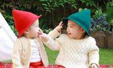 大宝属蛇二胎属虎好吗 做兄弟姐妹怎么样