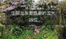 壬辰龙年要规避的五大凶位