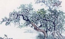 2023年2月25日是农历多少星期几 日子好吗