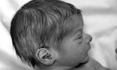 1987属兔哪年要2胎好 2022年生宝宝好吗