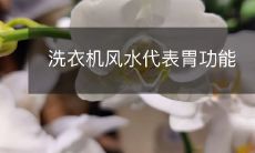 洗衣机风水代表胃功能