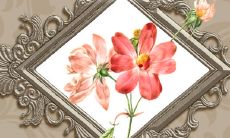 2023年运势生肖虎 整体运势充满挑战