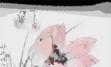 2023正月初六剖腹产好吗 大年初六是生子黄道吉日吗