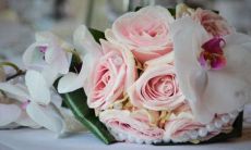 2023年1月7日小暑领证日子吉利吗 是不是登记良机