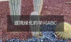 庭院绿化的学问ABC
