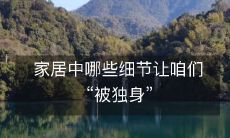 家居中哪些细节让咱们“被独身”